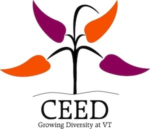 Virginia Tech Center for the Enhancement of Engineering Diversity
