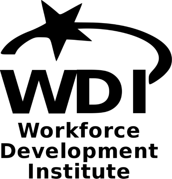 Workforce Development Institute