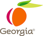 Digital Entertainment – Georgia Department of Economic Development