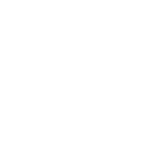 Missouri S&T Veterans Association