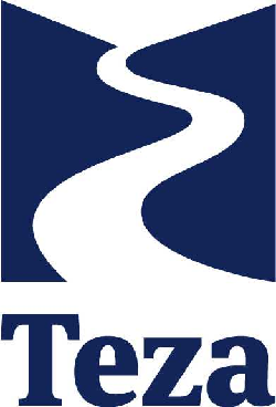 Teza
