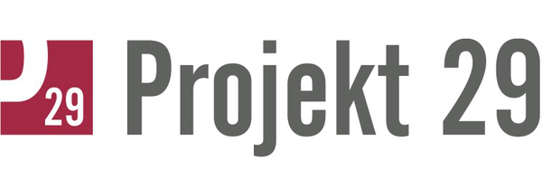 Projekt 29