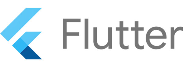 Google Flutter- Warm-up partner