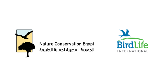 Nature Conservation Egypt