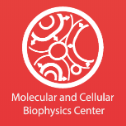 Molecular and Cellular Biophysics Center