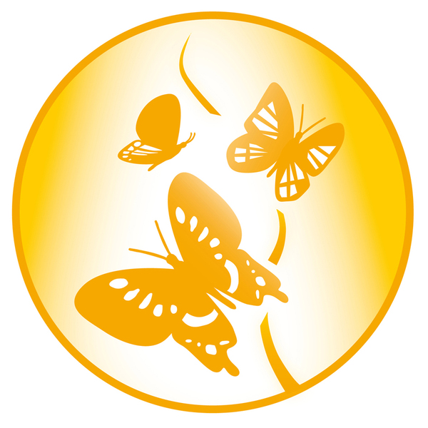 Gudrun Dara Müller - Praxis Selbstheilungsberatung