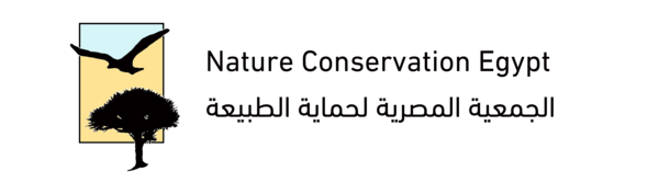 Nature Conservation Egypt