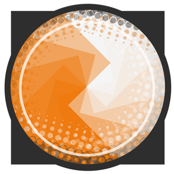 Princeton Alcohol Initiative