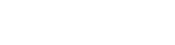 Wix Velo