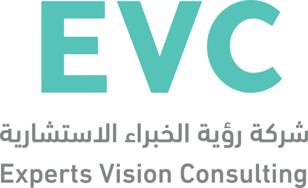 رؤية الخبراء الاستشارية