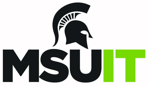 MSU IT