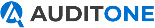 AuditOne