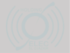 Elec El Djazazir