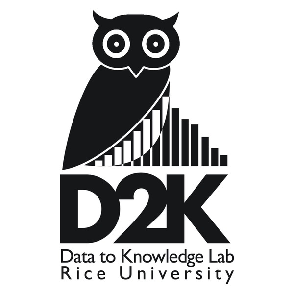 Rice D2K