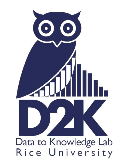 Rice D2K Lab