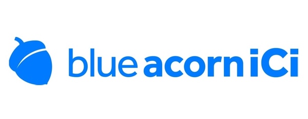 Blue Acorn Ici