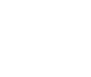 Pega Systems