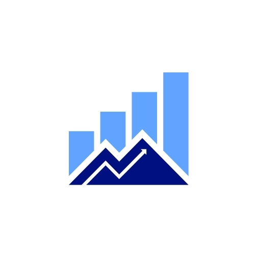 The Economic Literacy Initiative