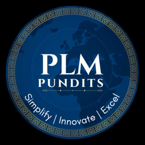 PLM PUNDITS