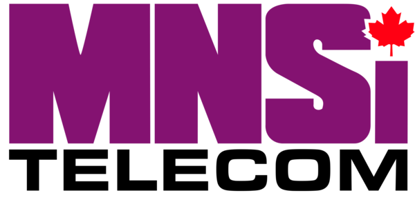MNSi