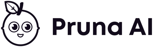 Pruna AI