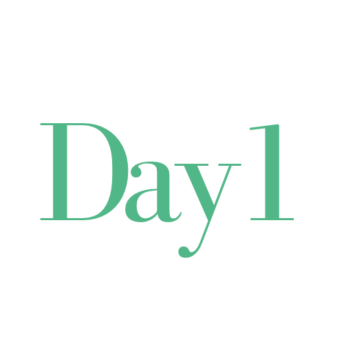 Day1