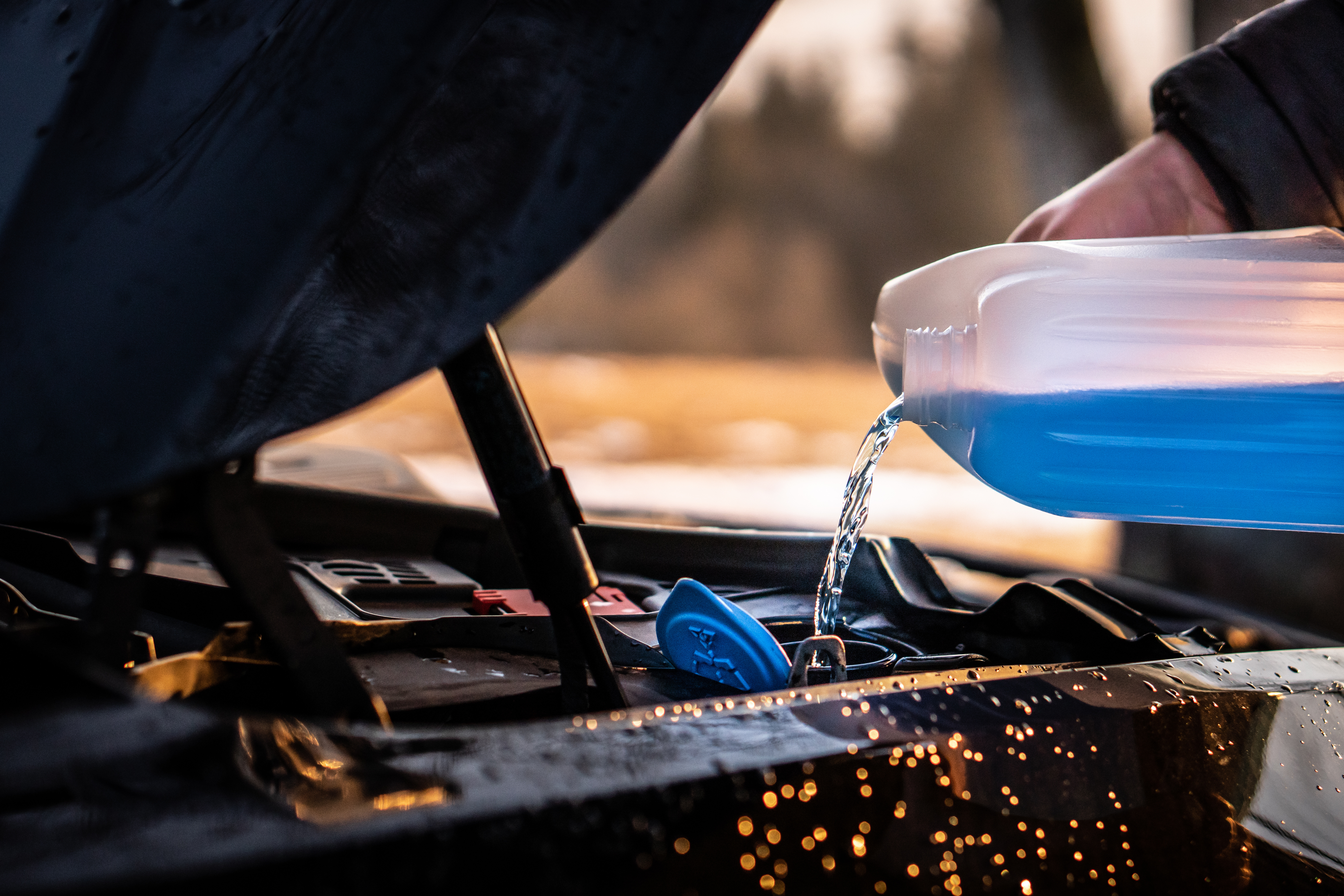 95_AdobeStock_419465329.jpeg