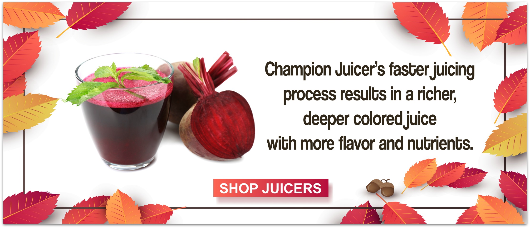 Official Champion Juicer Masticating Juicers for juicing fruits