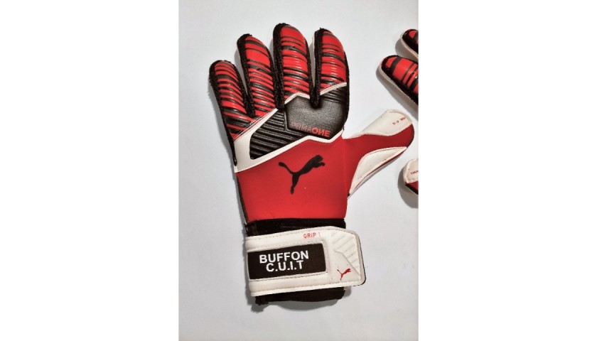 buffon gloves