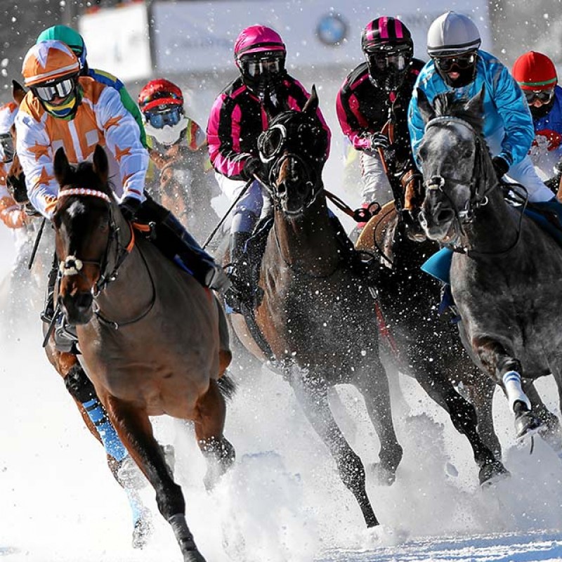 VIP White Turf Race Experience in St Moritz for 2