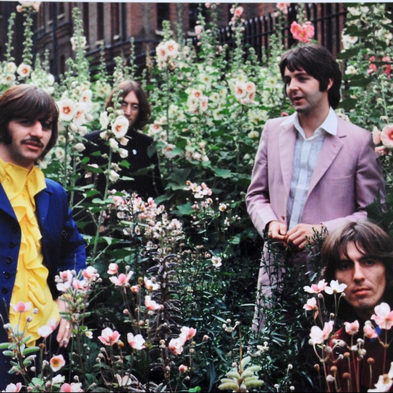 The Beatles "Flower Power II" Framed Photograph by Tom Murray
