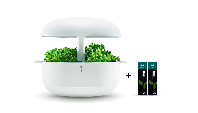 6 Recharges Sans Graines Pour Plantui - Laine De Roche Pour Jardin Hydroponique D'intérieur - Compatible Plantui 3, 3e, 6