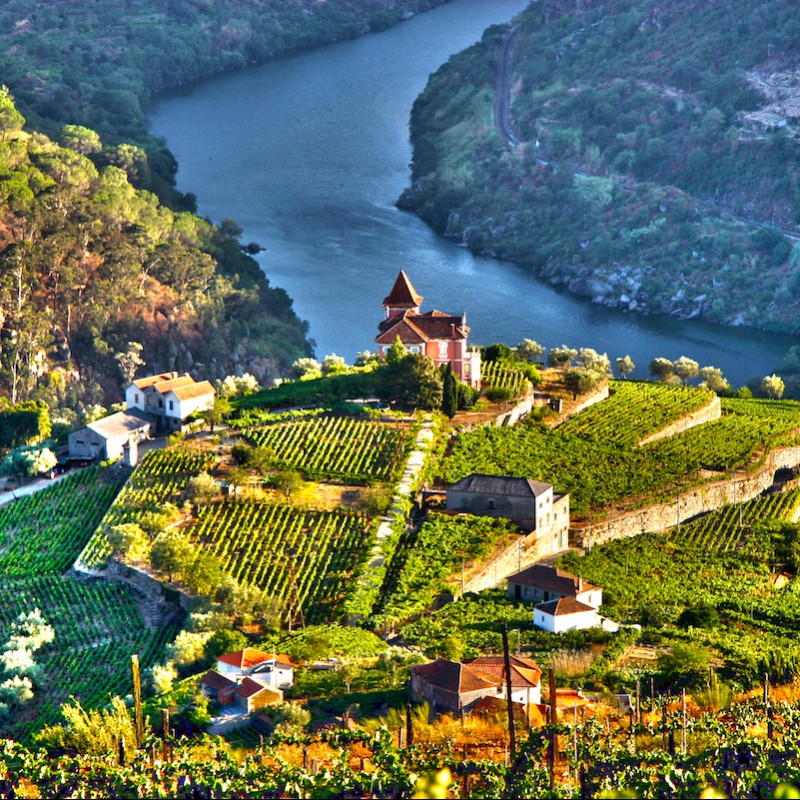 Colours of Porto Experience