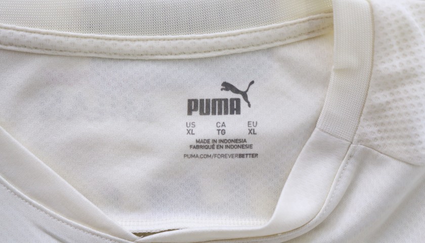 puma online guatemala