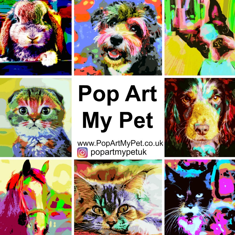Pet Art With POP ART MY PET.co.uk