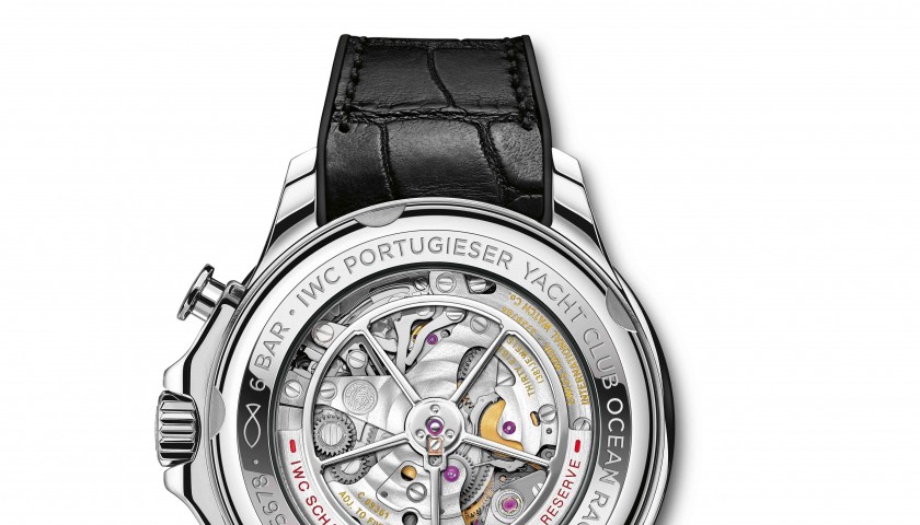 L'orologio IWC Schaffhausen del campione di vela Ian Walker - CharityStars