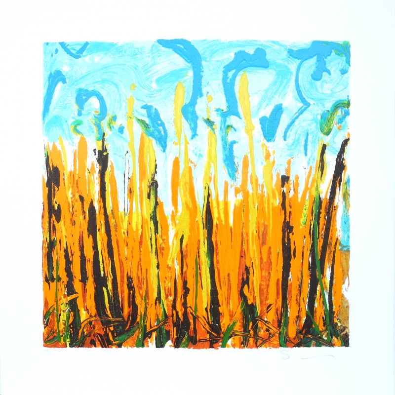 "Campo Basso" by Mario Schifano