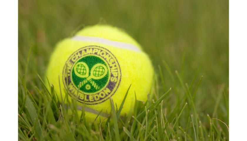 wimbledon mens final vip experience    charitystars