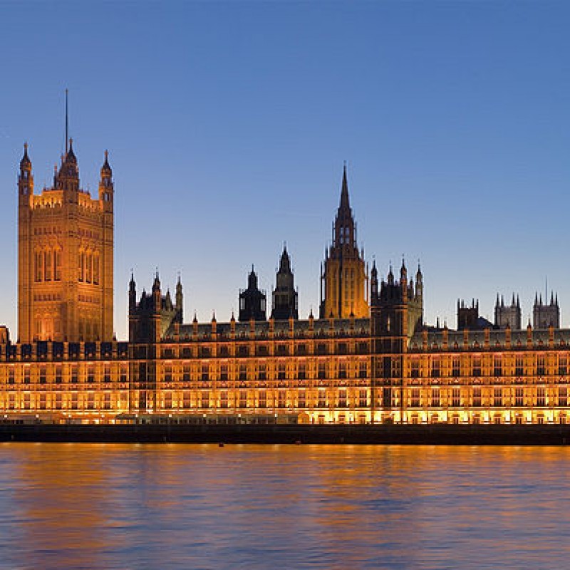 High Tea for Two at the House of Lords with Lord Birt, Plus a Personal Tour of the Palace of Westminster