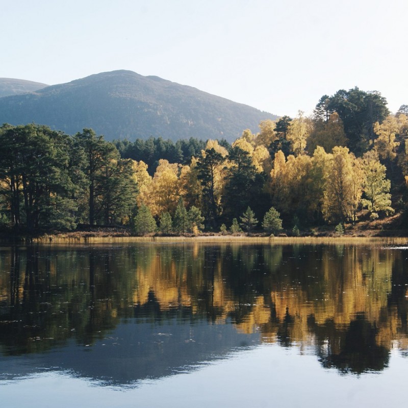 Cairngorms National Park Experience for Two