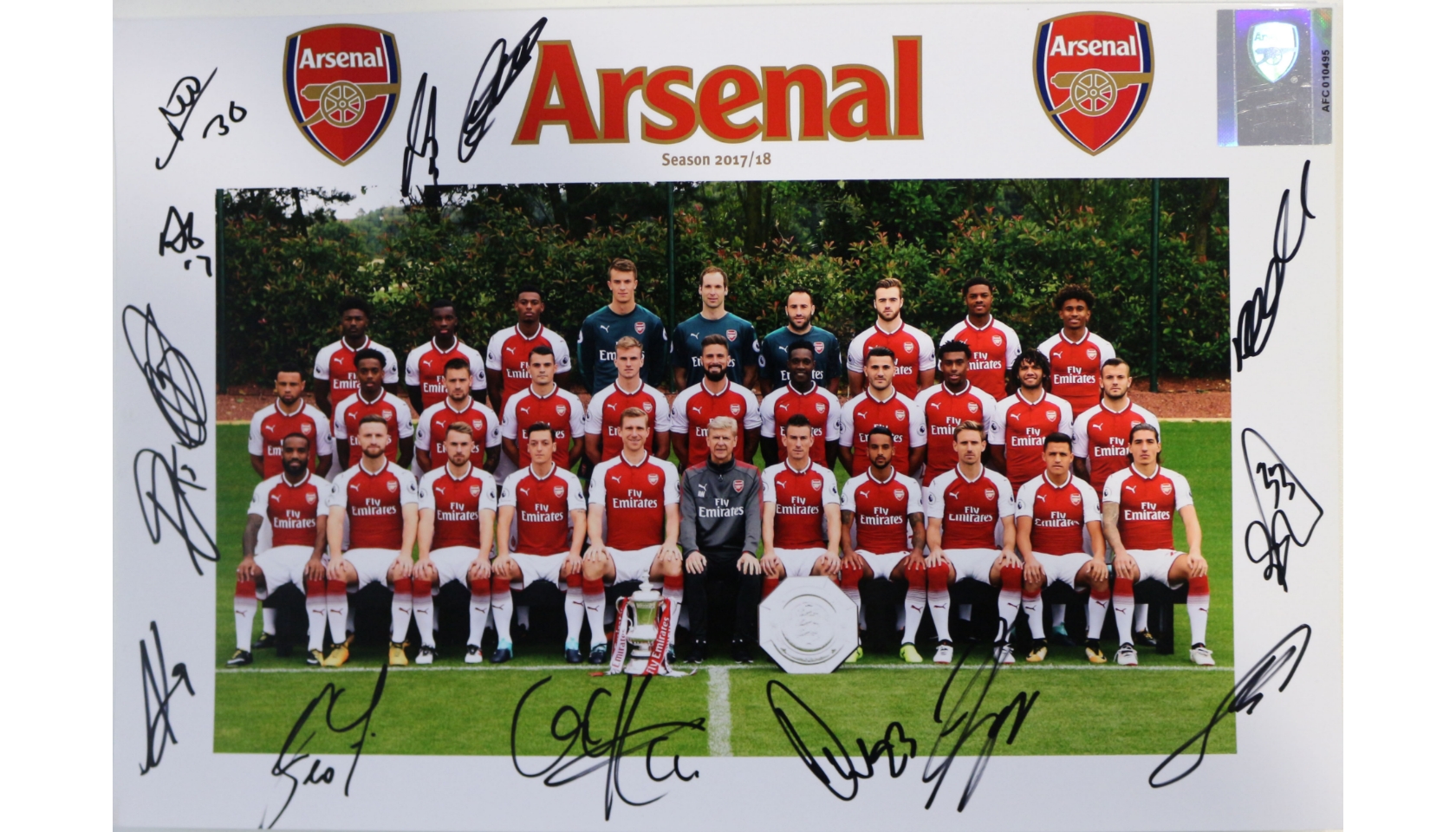 Arsenal FC A4 Team Photograph Signed by the Squad of 201718 CharityStars