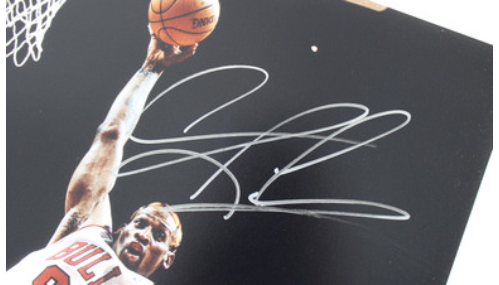 Dennis Rodman Hand Signed 16”x20” Photograph CharityStars