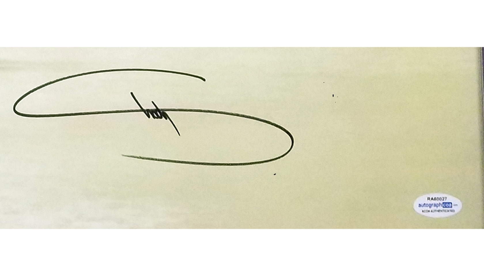 Eminem Hand Signed Print CharityStars