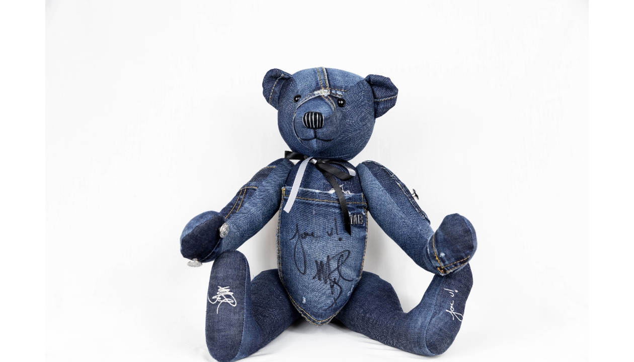 teddy denim