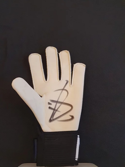 Jordan Pickford Everton Signed Goalkeeper Glove CharityStars