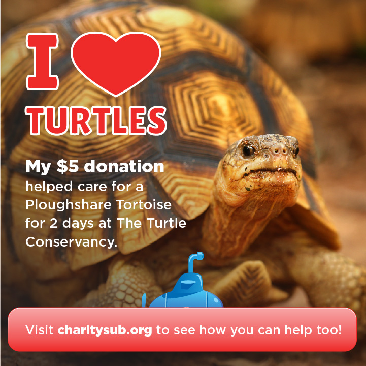 Turtle Conservancy