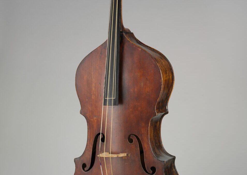 Serenade For Double Bass