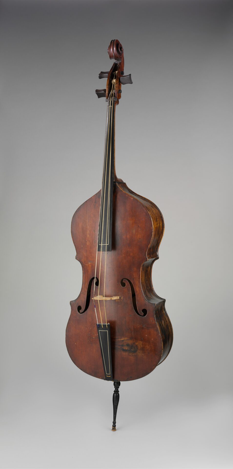 double bass on white seamless background