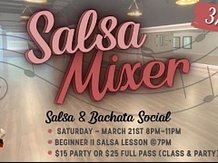 G2G Salsa Mixer