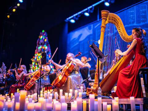 Image: Vienna Light Orchestra Christmas Tour 2026